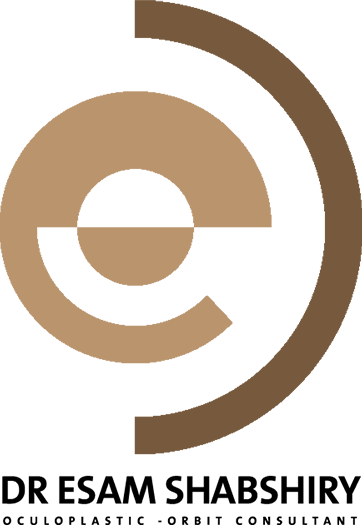 د/ عصام الشبشيري